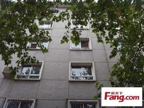 石家庄东岗路最新爆料,繁华路段焕新颜，揭秘改造亮点