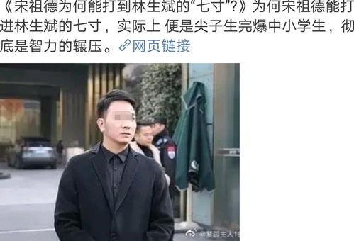 林生斌偷税漏税最新爆料,最新爆料揭露惊人内幕