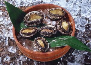 鲍鱼最新爆料图片大全,高清美图大赏