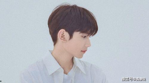 王源黑粉最新爆料视频大全,揭秘娱乐圈背后的真相